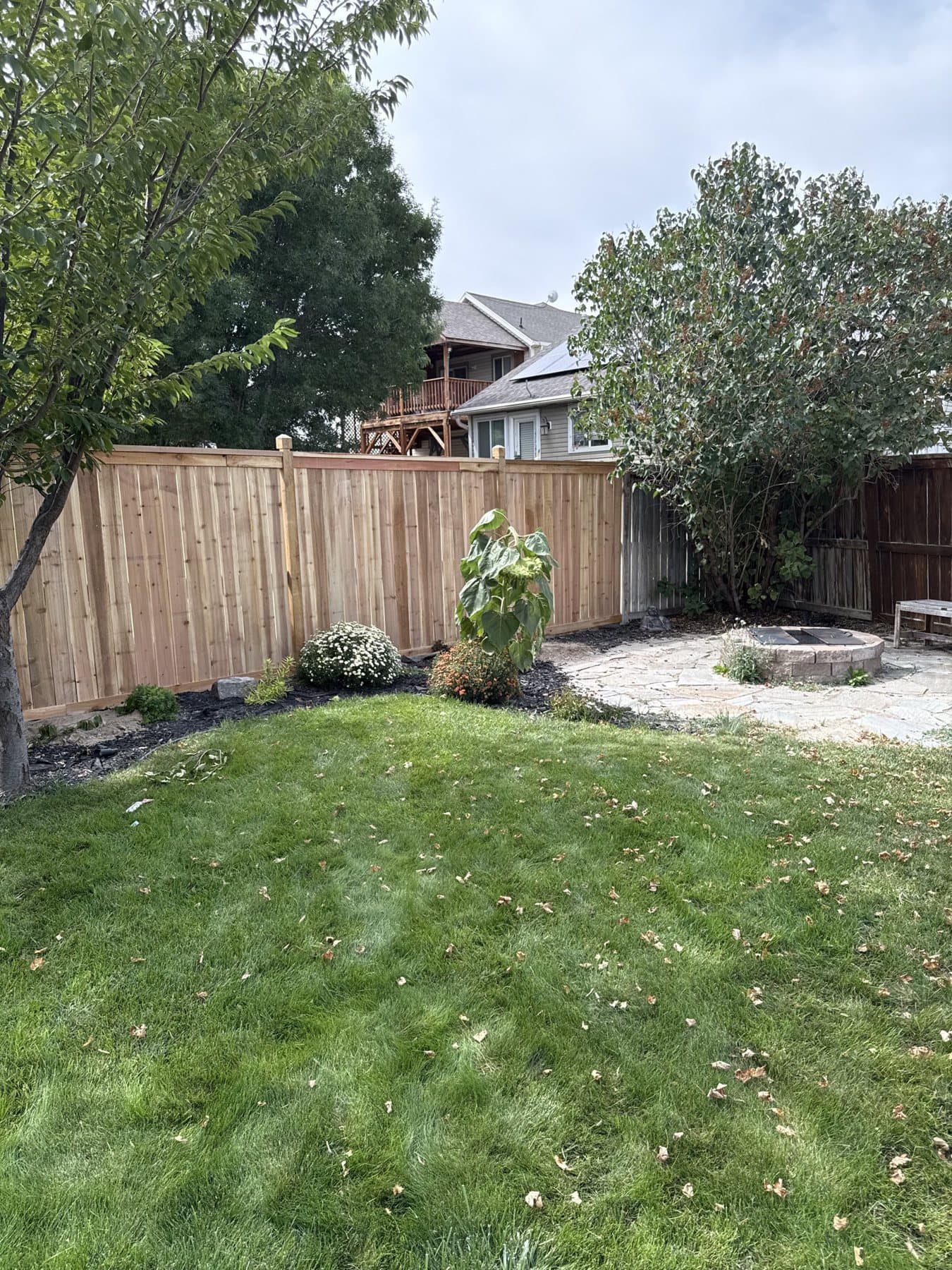 Cedar privacy fence around a backyard with a fire pit