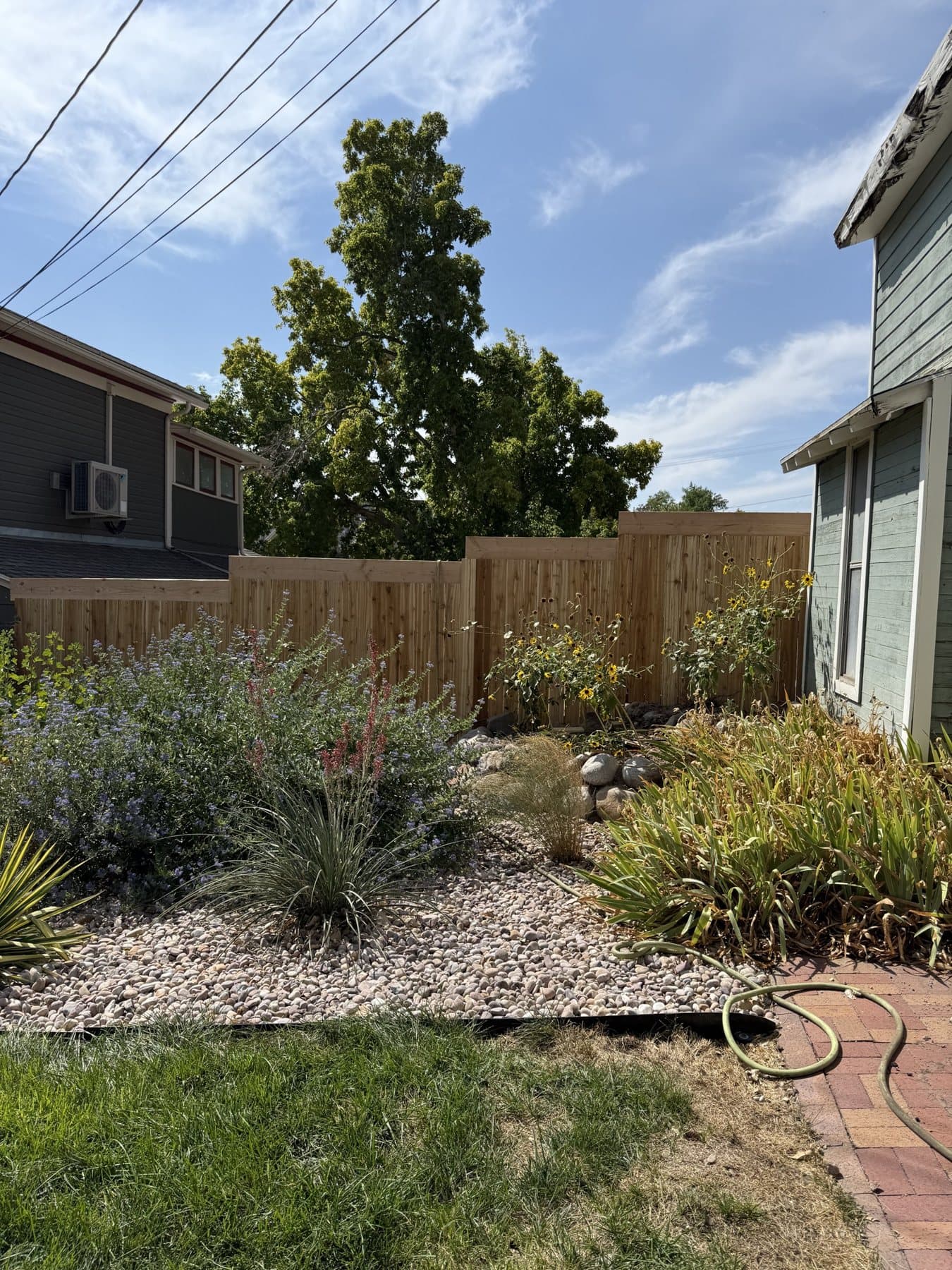 Cedar privacy fence behind a landscaped garden