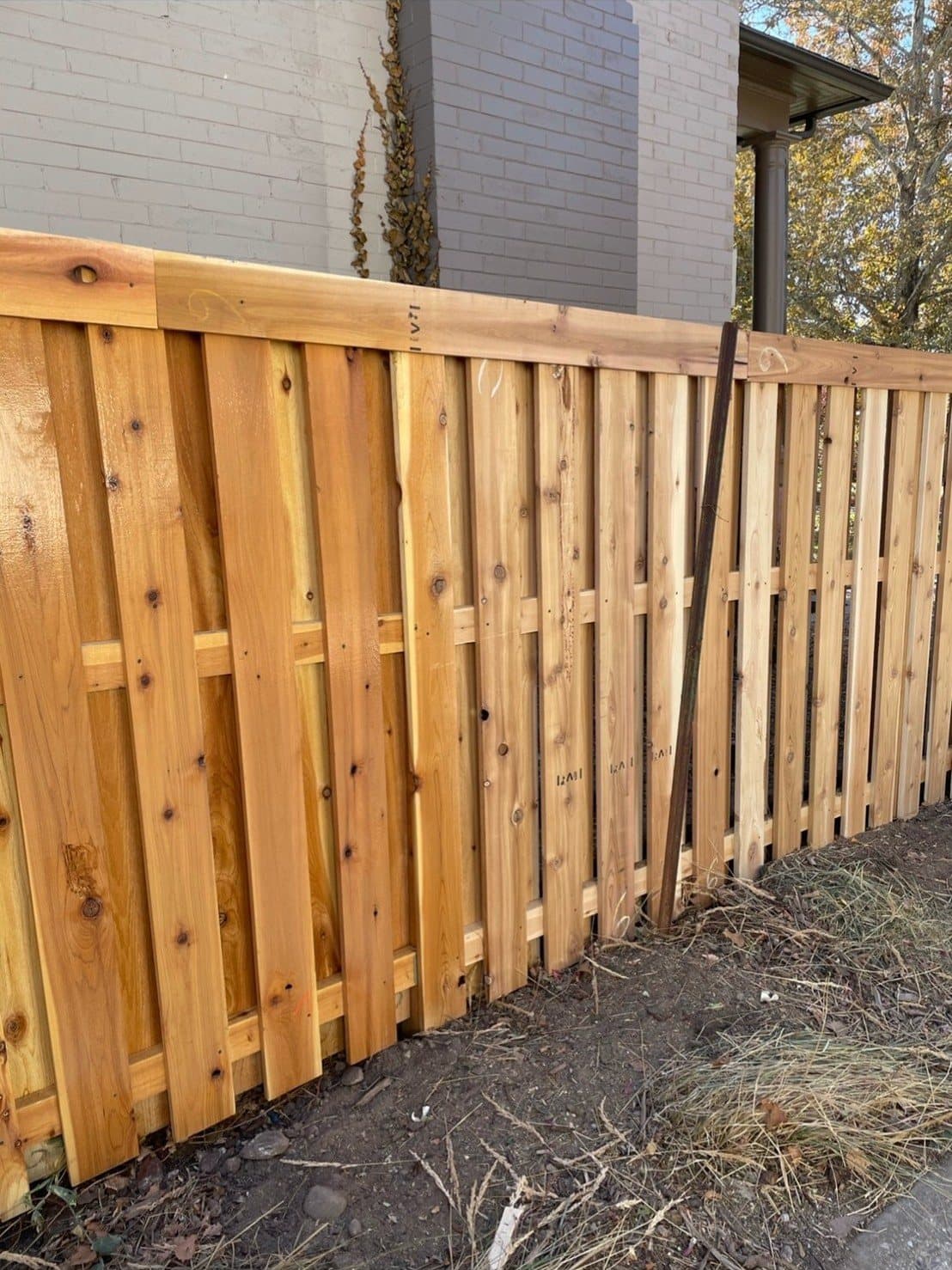 Cedar shadowbox fence beside a modern home