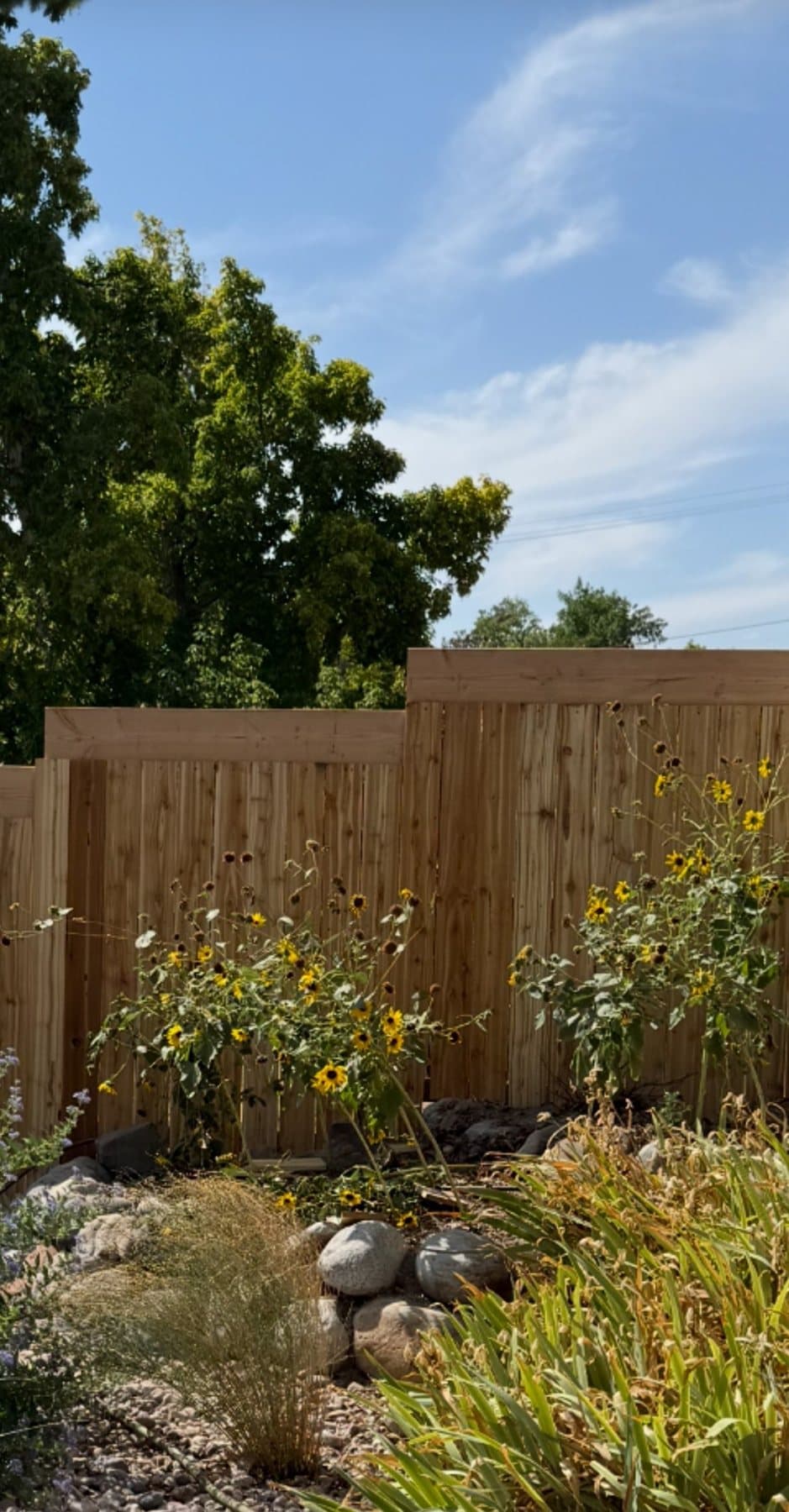 Cedar fence behind a flower garden