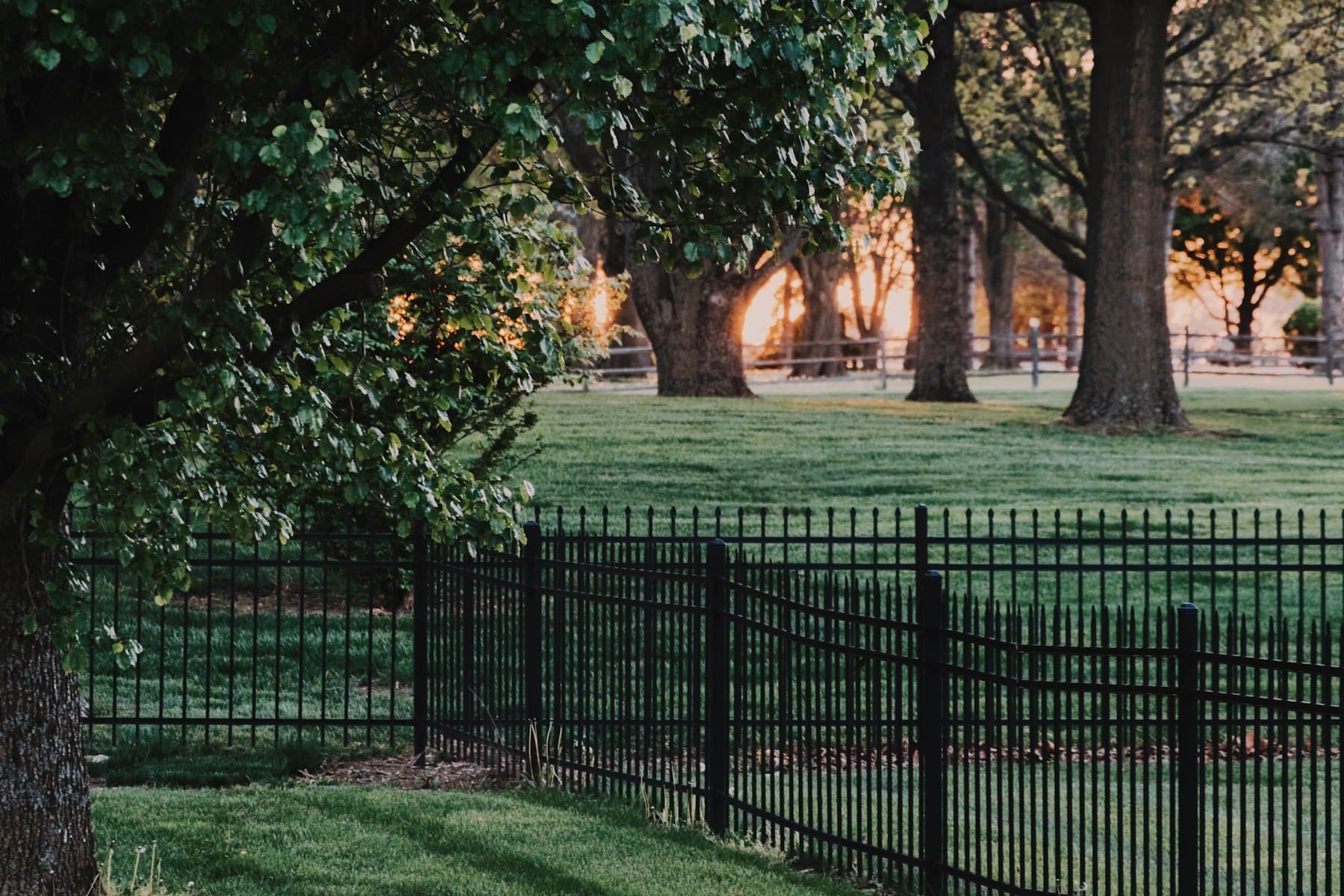 Black iron fence around a large estate lawn