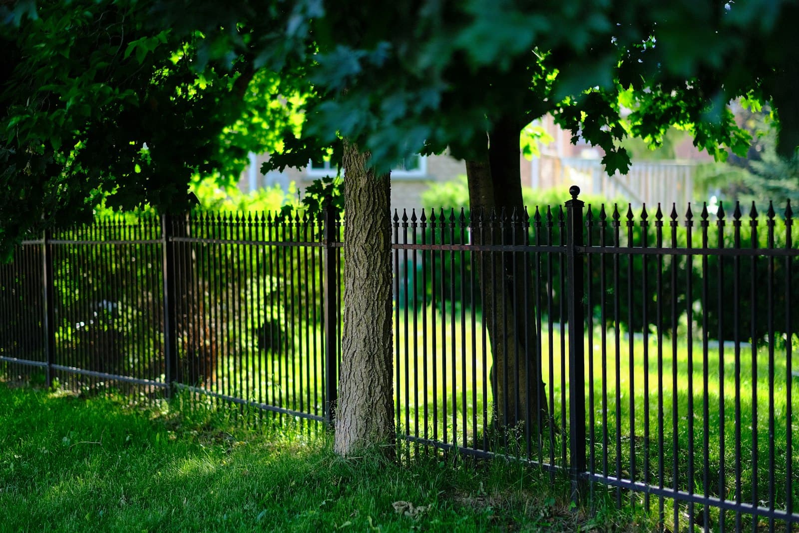 Black metal fence surrounding a tree-lined yard