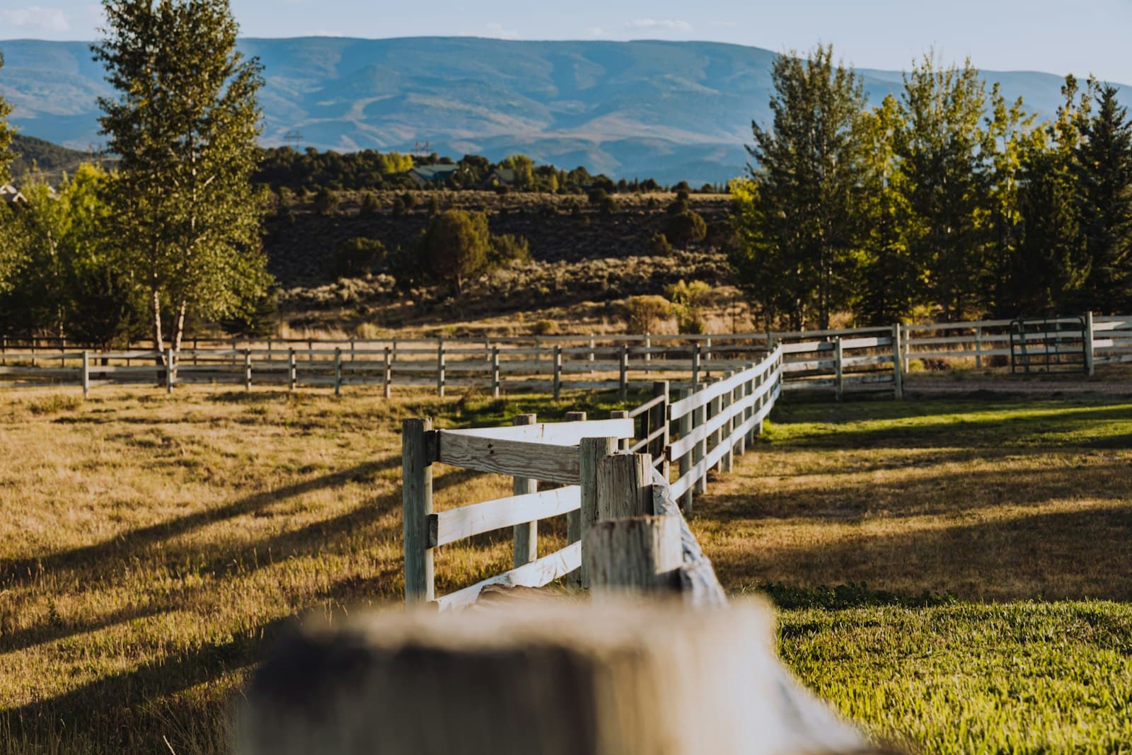 Ranch rail fence with mountains in the background