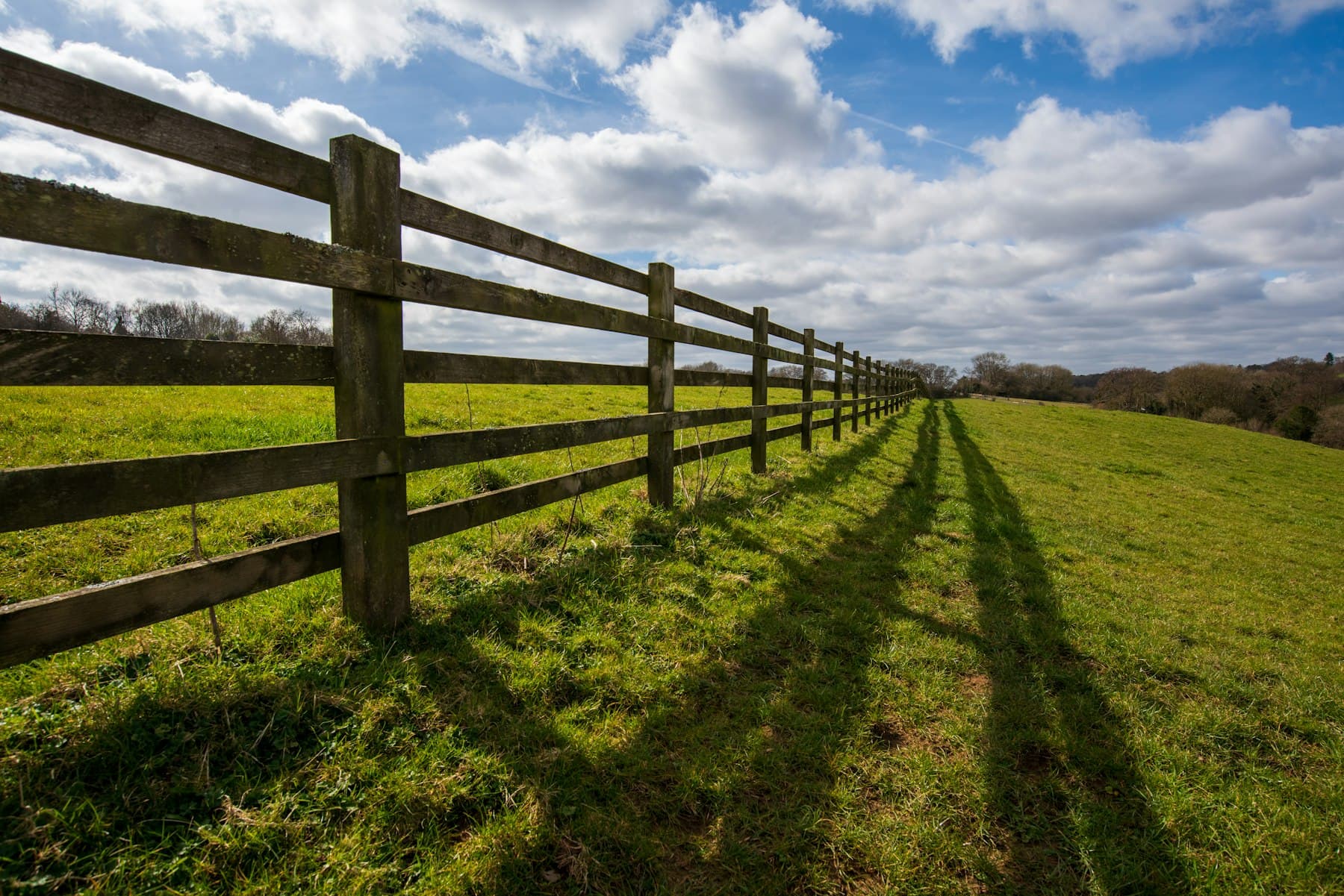 Long wooden rail fence across a grassy field