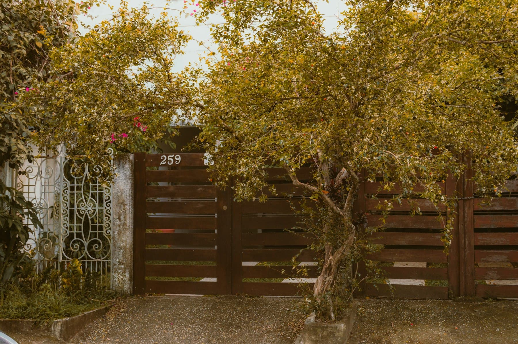 Modern horizontal slat fence with a decorative iron gate